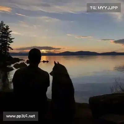 凤腾兴